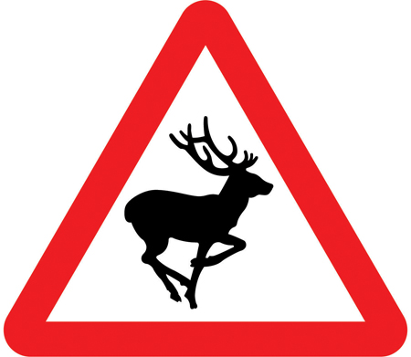 Wild animals